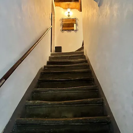 Navona Fox House Appartement Rome