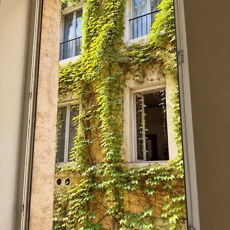 Navona Fox House 2